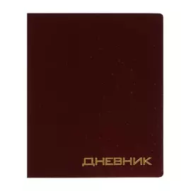 Премиум-дневник универсальный, для 1-11 класса vigo