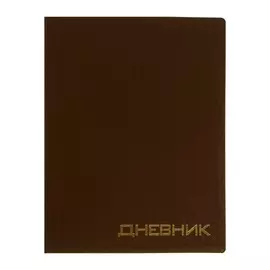 Премиум-дневник универсальный, для 1-11 класса vigo