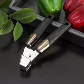 Пресс для чеснока доляна