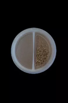 Пудра-бронзер минеральная Mineral