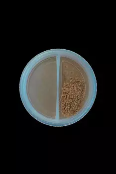 Пудра-бронзер минеральная Mineral