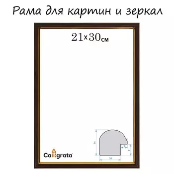 Рама для картин (зеркал) 21 х 30 х 1,2 см, пластиковая, calligrata pkm, бук