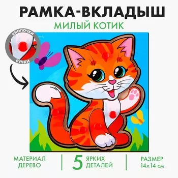 Рамка - вкладыш