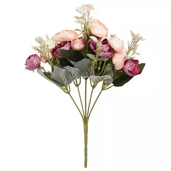 Ранункулюс на ветке