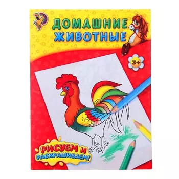 Раскраска детская