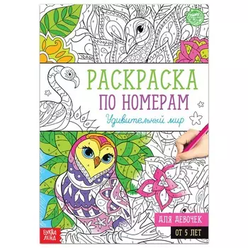 Раскраска по номерам