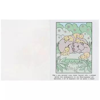 Раскраска Умка 978-5-506-06433-6