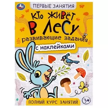 Раскраска Умка 978-5-506-07564-6