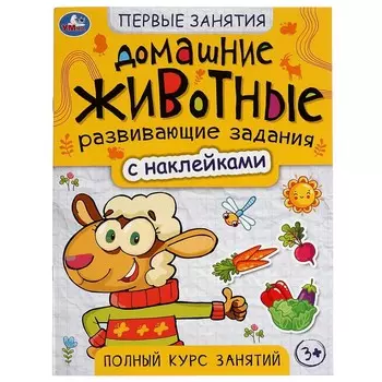 Раскраска Умка 978-5-506-07565-3