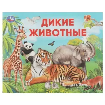 Раскраска Умка 978-5-506-07634-6