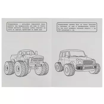 Раскраска Умка 978-5-506-07706-0