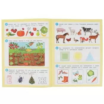 Раскраска Умка 978-5-506-08642-0