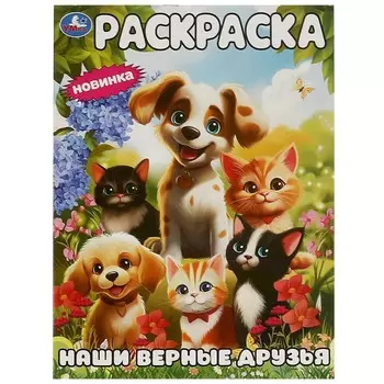 Раскраска Умка 978-5-506-09445-6