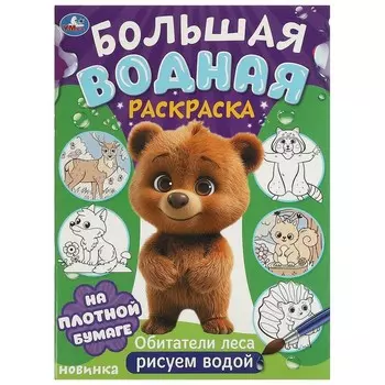 Раскраска Умка 978-5-506-09573-6