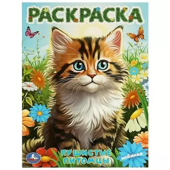 Раскраска Умка 978-5-506-09727-3