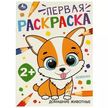 Раскраска Умка 978-5-506-09731-0