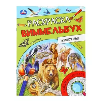 Раскраска Умка 978-5-506-09815-7