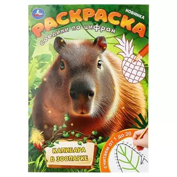 Раскраска Умка 978-5-506-09930-7