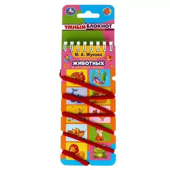 Раскраска ЖУКОВА М