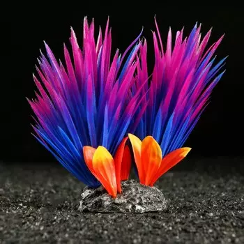 Растение для аквариума и террариума, 181011.5 см, красно-фиолетовый