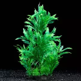 Растение искусственное аквариумное, 28 см, зелёное, 1 шт.