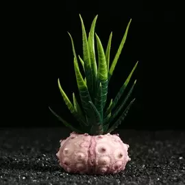 Растение искусственное аквариумное, 6 х 6 х 12 см