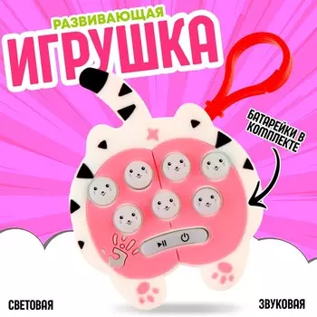 Развивающая игрушка