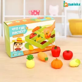 Развивающий набор