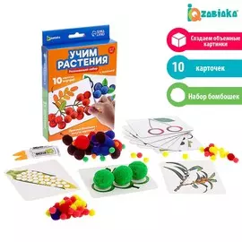 Развивающий набор
