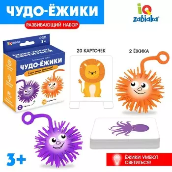 Развивающий набор