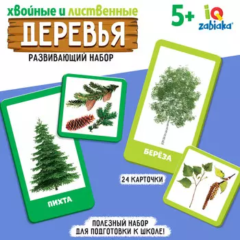 Развивающий набор