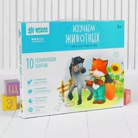 Развивающий набор