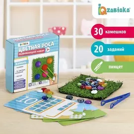 Развивающий набор