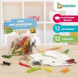 Развивающий набор с карточками