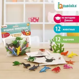 Развивающий набор с карточками