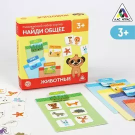 Развивающий набор-сортер