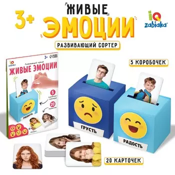 Развивающий сортер