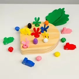 Развиваюший набор