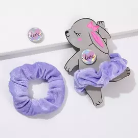 Резинка для волос и значок