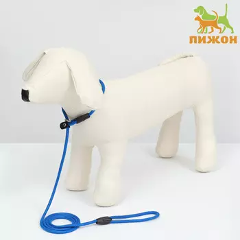 Ринговка для собак, 1300.6 см, синяя