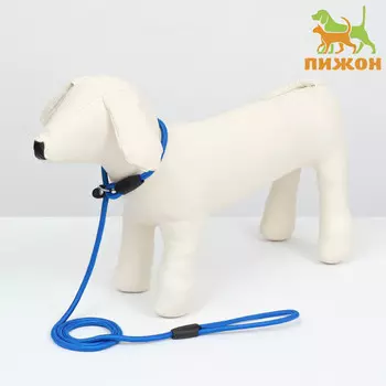 Ринговка для собак, 1300.8 см, синяя