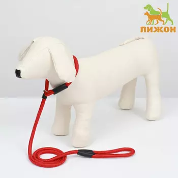 Ринговка для собак, 1301 см, красная