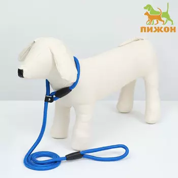 Ринговка для собак, 1301 см, синяя