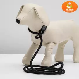 Ринговка для собак, 1300.8 см, черная