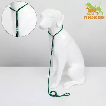 Ринговка для собак, с вертлюгом, 1500.6 см, черная/зеленая