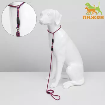 Ринговка для собак, с вертлюгом, 1500.6 см, красная/синяя