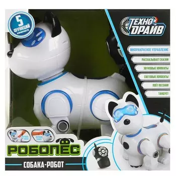 Робот на батарейках ТЕХНОДРАЙВ B2024134-R