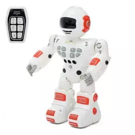 Робот радиоуправляемый