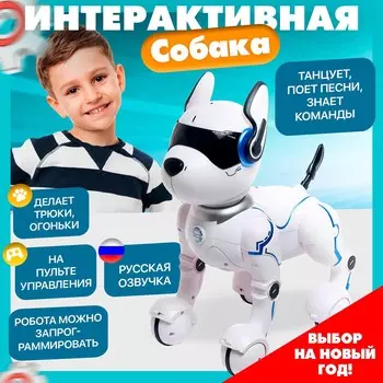 Робот собака
