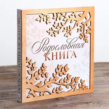 Родословная фото книга